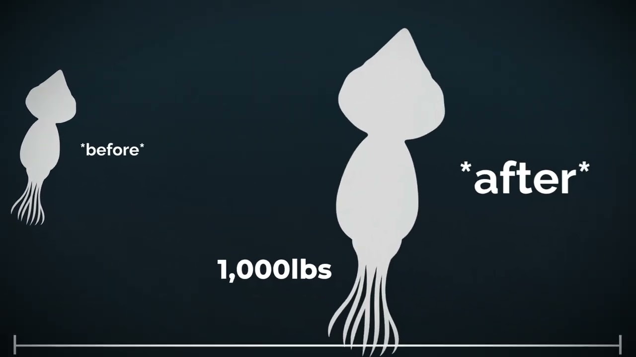 LetsGoSwimming - Colossal Squid - 60fps