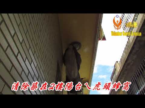 清除築在2樓陽台ㄟ虎頭蜂窩070910