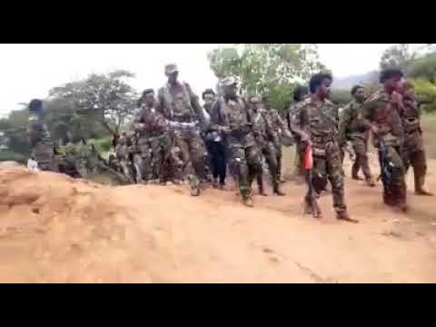 Faaruu Alaabaa Oromoo WBO N Caamsa 28 2019 Dirree Qabsoo Irra