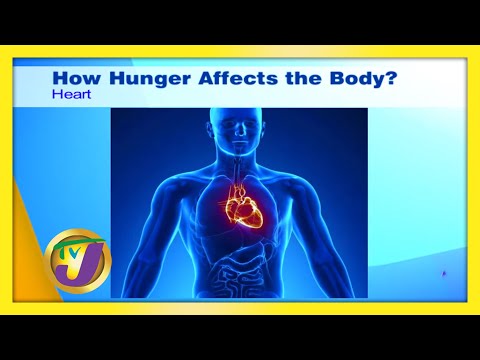 How Hunger Affects the Body - September 15 2020