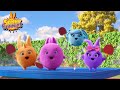 Sunny Bunnies Ping Pong Hero Cartoon For Kids Compilation No 72 