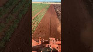 Mf 5445 kktc rotavator