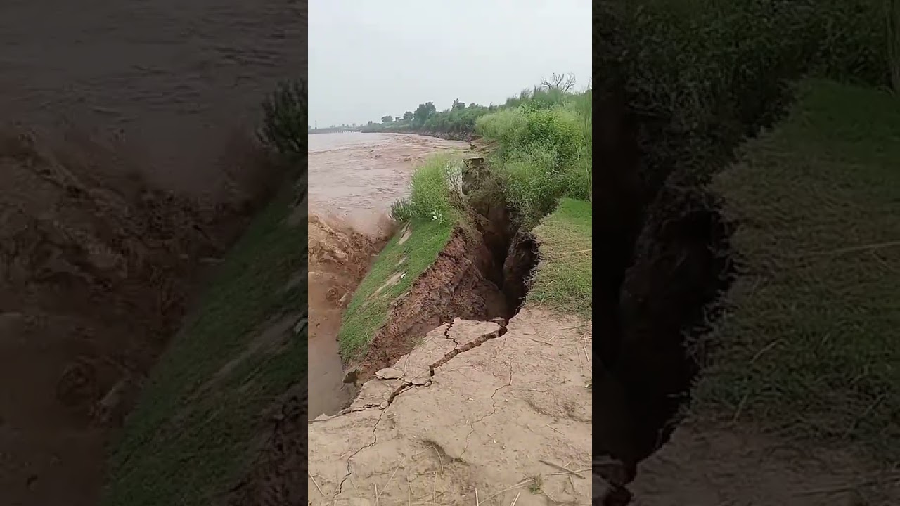 satluj River flood 