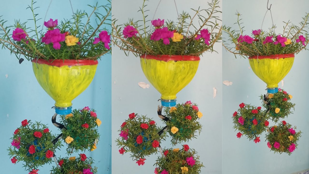 How to plant a beautiful hanging upside down flower potPortulaca grandiflora YouTube