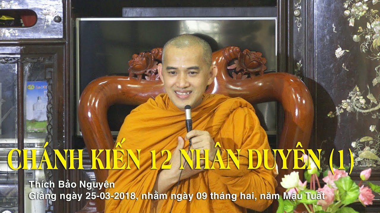 CHÁNH KIẾN 12 NHÂN DUYÊN (1) - Thích Bảo Nguyên