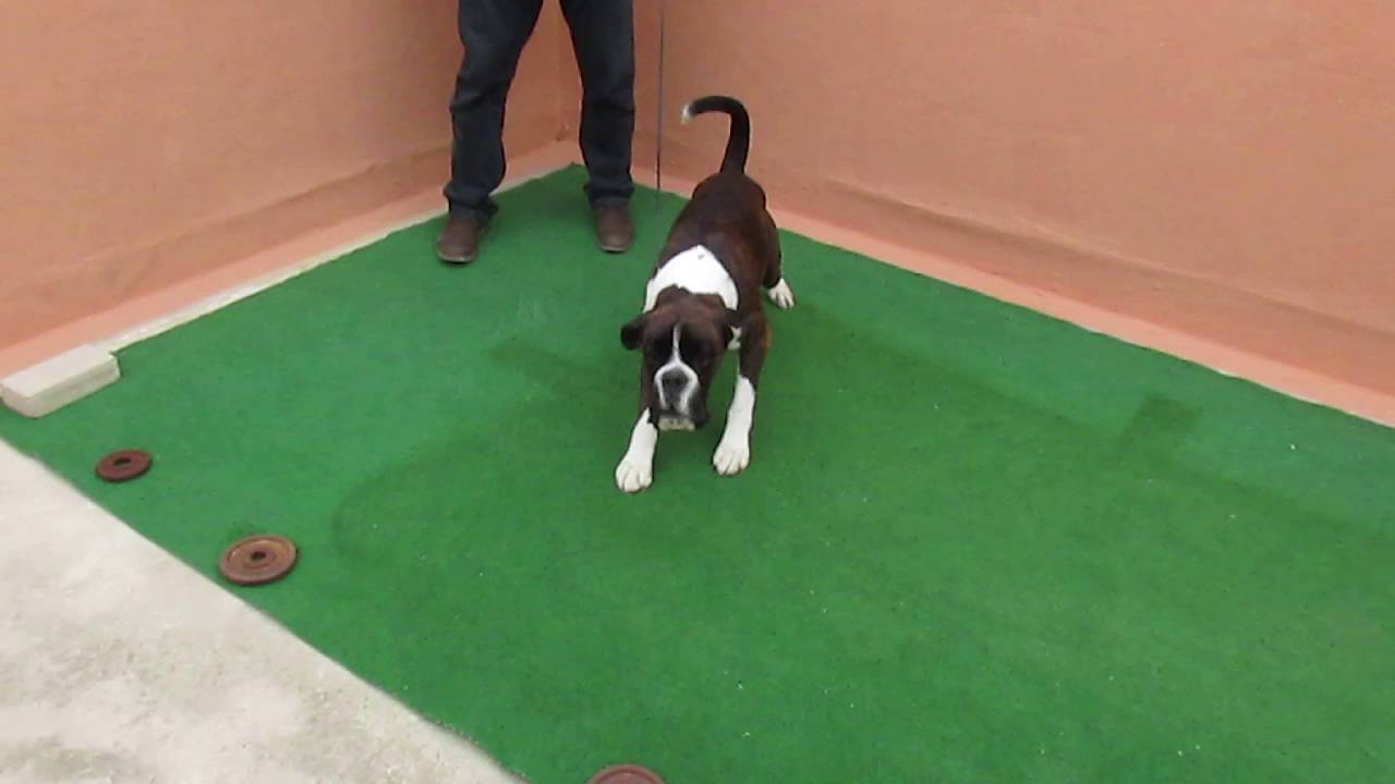 MLT FCI CH Surfstone Tropical Storm at Highcrest Malta.