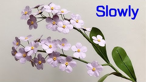 ABC TV | How To Make Forget Me Not Flower With Shape Punch (Slowly)- Craft Tutorial