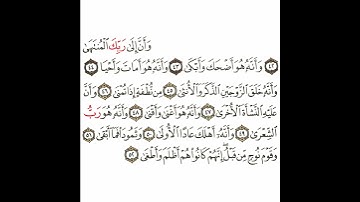 سورة النجم 8 القسم الثامن تكرار كيفي من .. وأن إلى ربك المنتهى .. إلى .. إنهم كانوا هم أظلم وأطغى