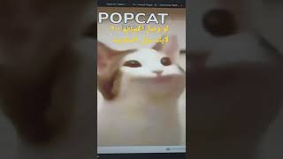 هكرت لعبة POPCAT سكربت يجيب ضغطات رهيبة 🤯#POPCAT screenshot 1