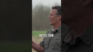Who are the 8 witness to the Gold Plates?