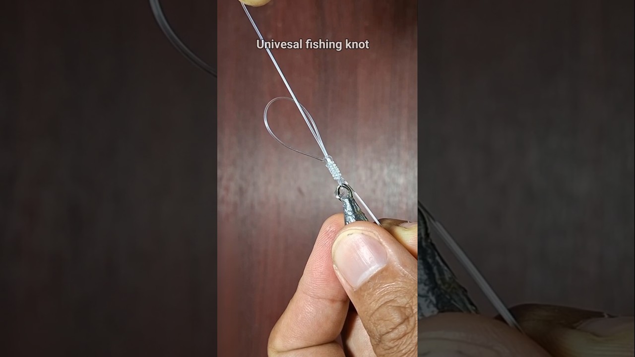 Easy tips for fishing v98 