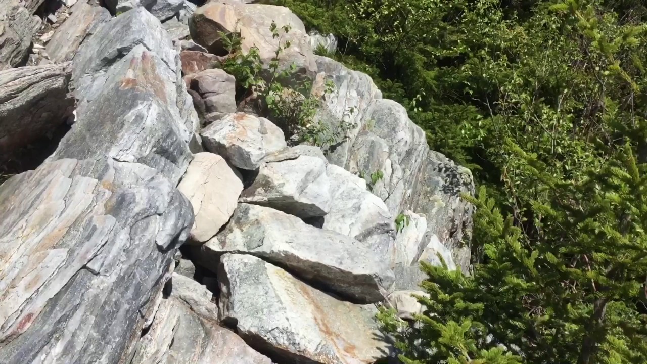 appalachian trail georgia Day 57, Manchester Center to Little Rock Pond Shelter, 19.8 miles