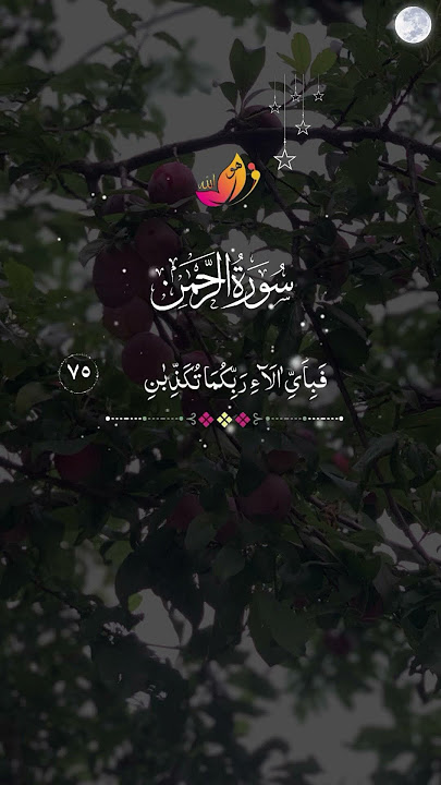 Heavenly Quran Recitation - A Duet of Divine Beauty