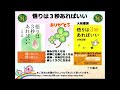 【書籍】悟りは３秒あればいい(大和書房）※うたし保養所光楽園で発見されたお宝書籍です。　・プロローグ・悟った六人の人たちより朗読してご紹介しています。