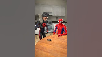 Enough - we are spiders too! 🕷 Spider-man and Miles Morales #funny #animation #memes