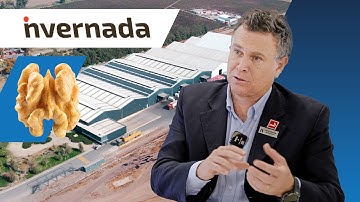 Leading Innovation: How Invernada’s Walnuts Boost Performance with Qcify’s Solutions