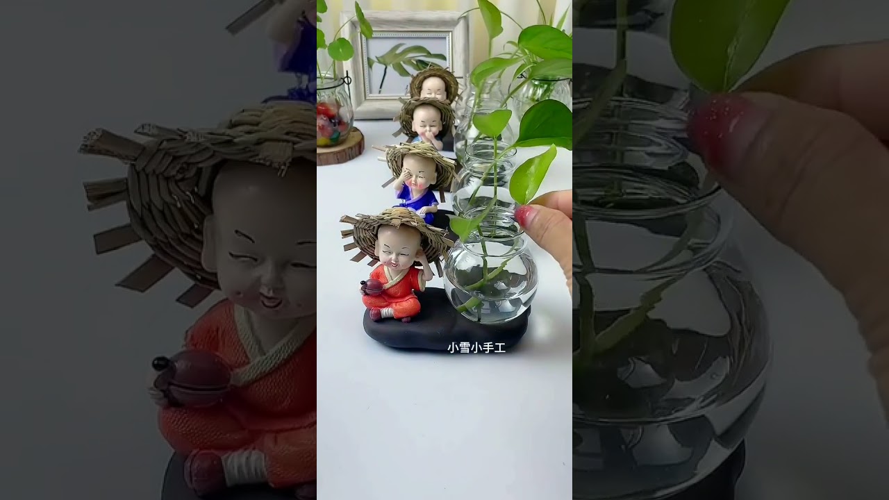 Creative Decoration with hydroponic plants 