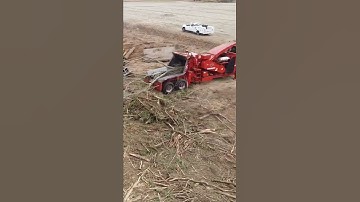 TigerCat 234B Feeds 🪵 Morbark Chipper Carolina Woods