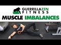 How To GET RID OF Muscle Imbalances Using A Foam Roller