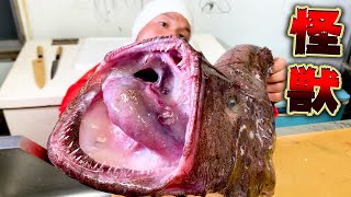 山口産の化け物！！人生初の巨大魚を捌いて漁師らしく漢鍋！！！