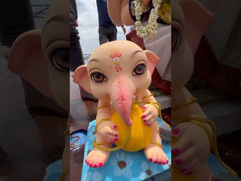 Ganapati Visarjan 2024 Ganesh Nimajjanam