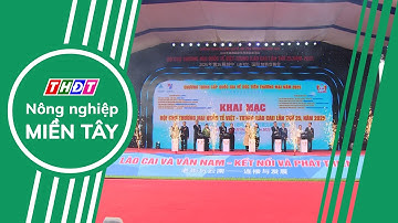 Khai mạc Hội chợ Thương mại quốc tế Việt - Trung 2025 | Nông nghiệp Miền Tây