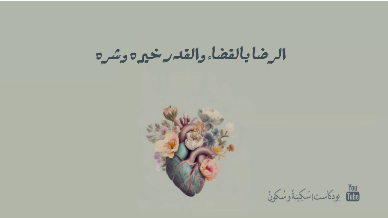 بودكاست | سكينة وسكون [ الرضا يالقضاء والقدر خيره وشره ]