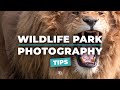 Wildlife Park Photography Tips