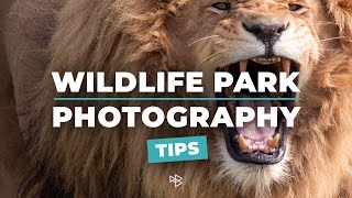 Wildlife Park Photography Tips