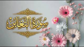 Surah At-Taghabun سورة التغابن | For Heart Peace | Beautiful & Calming Quran Recitation | The Quran