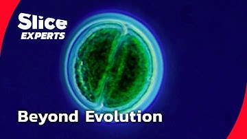 The Scientists Rewriting the Code of Life | PART 3 | SLICE EXPERTS