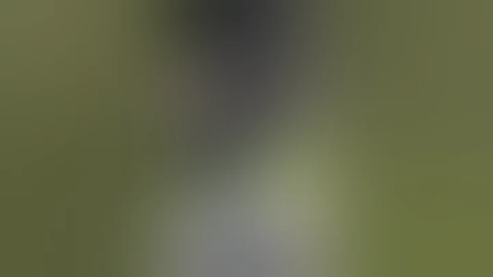 franklin armory trigger #ar15 #binary #guns #pewpew #triggered #disturbed #rock