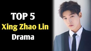 TOP 5 Xing Zhao Lin Drama list || Xing Zhao Lin Chinese Drama list