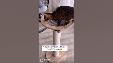 Кототрон ⚪️ Материал - дуб;⚪️ Канат - хлопчатобумажный;⚪️ Высота - 80 см;⚪️