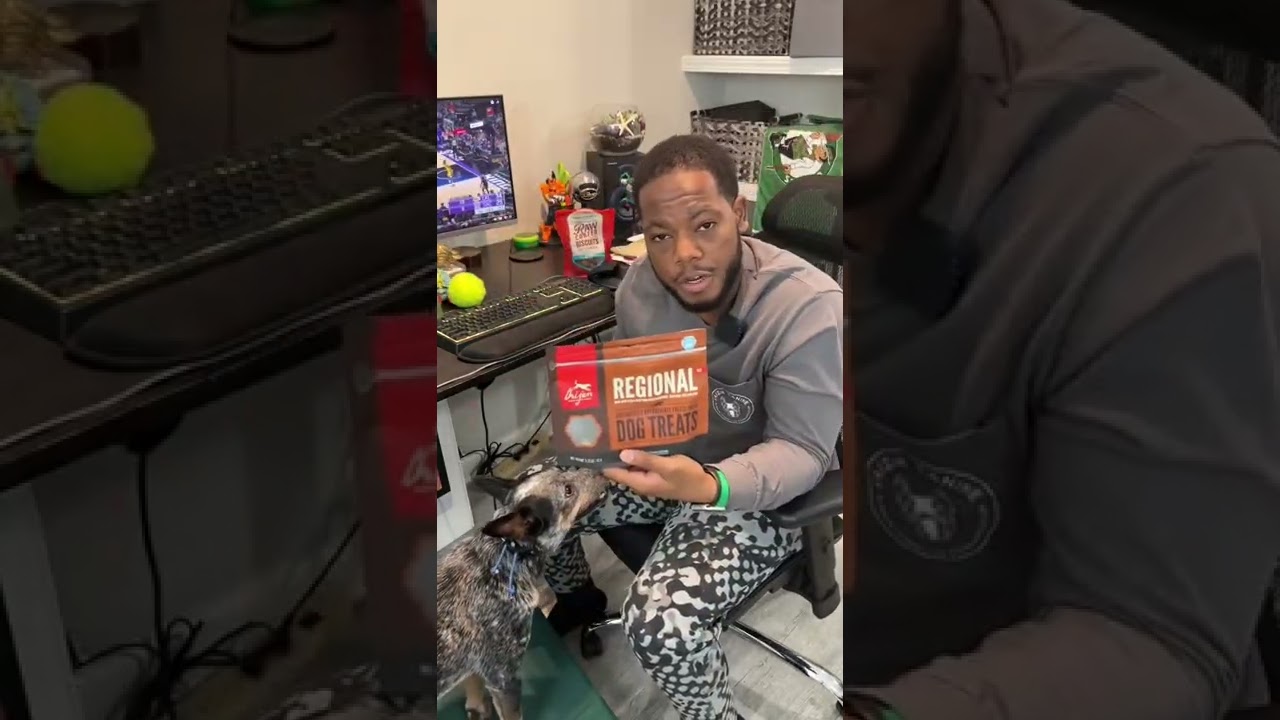 Три моих самых любимых лакомства для собак!