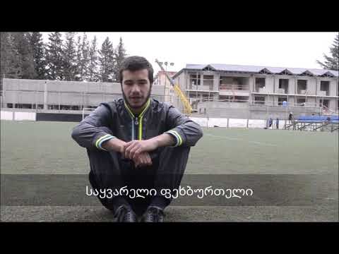 ნიკოლოზ ჯამასპიშვილი