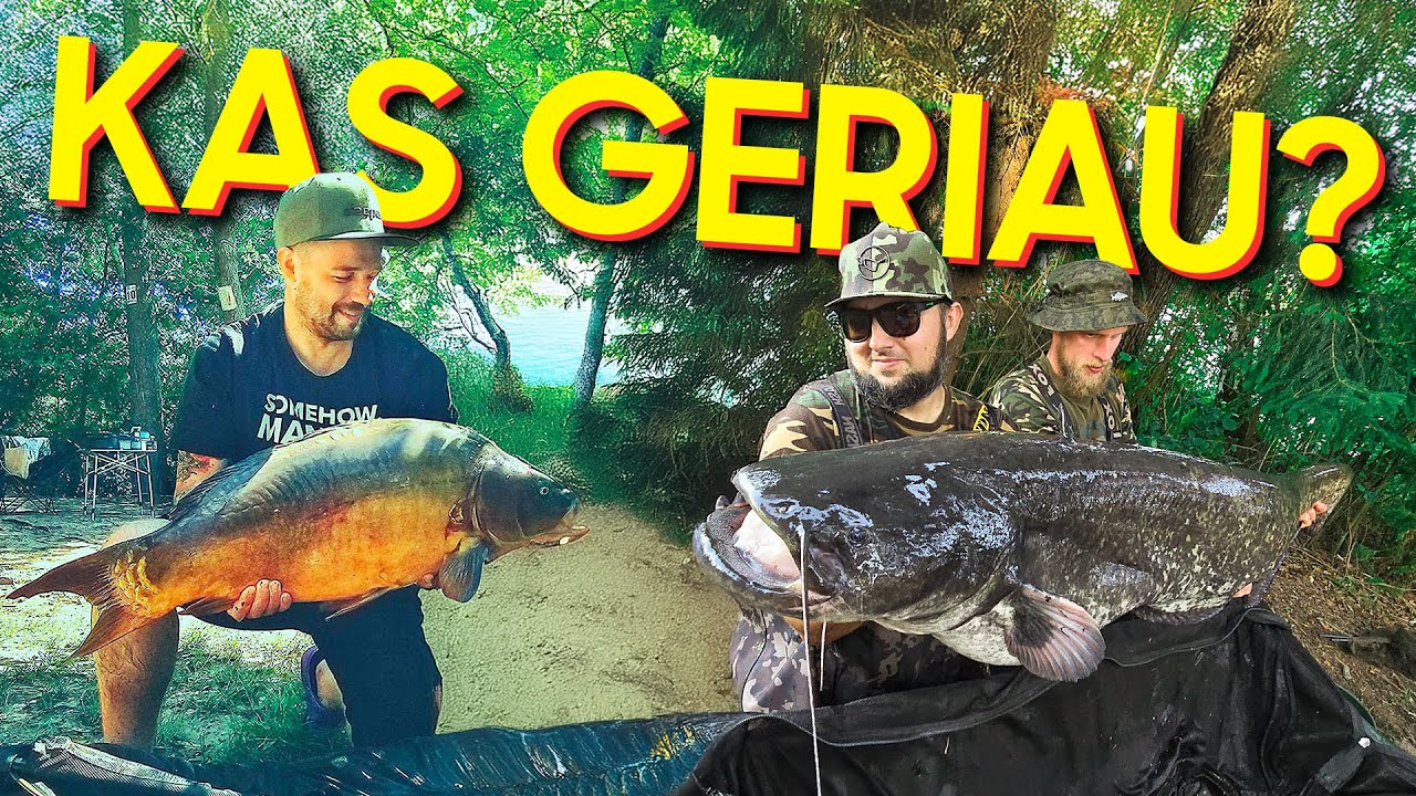 Monstrus begaudant... O ką jums patinka labiau pagauti? Šamą ar Karpį?