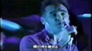 Morrissey - 05 Alsatian Cousin (Hammersmith 91)