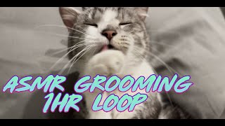 Cat Grooming ASMR with Bubbles 07 (1 HR LOOP)