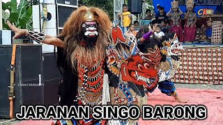 Kiprah Jaranan Buto Rambut Geni  Jaranan Singo Barong  Tanjungrejo Sembulung