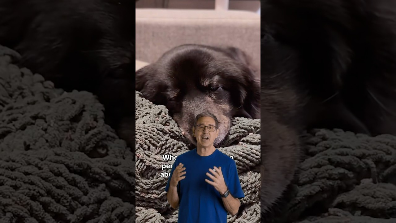 Relax with Ambient Music. Tip from David at the Apple Store. #Shorts