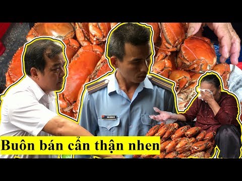 Video: Trật Tự Hoang Dã