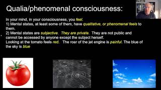 Consciousness, Divide and Conquer part 1
