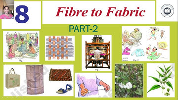 APSCERT SCIENCE CHAPTER-8 PART-2 EXPLAINED IN TELUGU | TACKLEKNOWLEDGECHANNEL