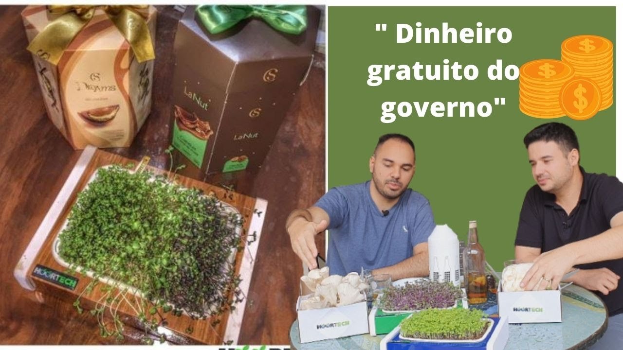 Dinheiro a fundo perdido para acelerar empresas e idéias inovadoras