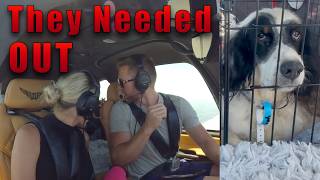 Fly the Pups Out of the Kill Shelter | Cirrus SR22T - 700 Mile Dog Rescue Flight