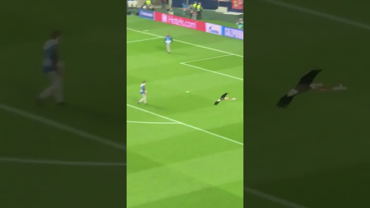 Benfica and amazing moment with The Eagle