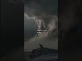 christ message for your weary heart #christmessage #message #christians #motivation #shorts #viral