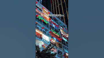 Mãi Yêu Màu Cờ sắc áo con người VIỆT NAM