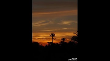 سورة الأنفال  - من الآية(٥٩) الى الآية(٦١)